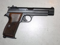 SIG1.jpg