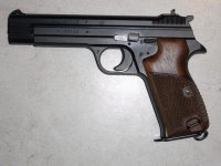 SIG2.jpg