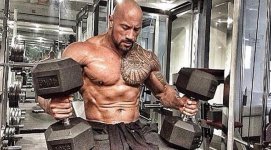 The-Rock-Dumbbells.jpg