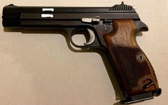 SIG 210 1_LI.jpg